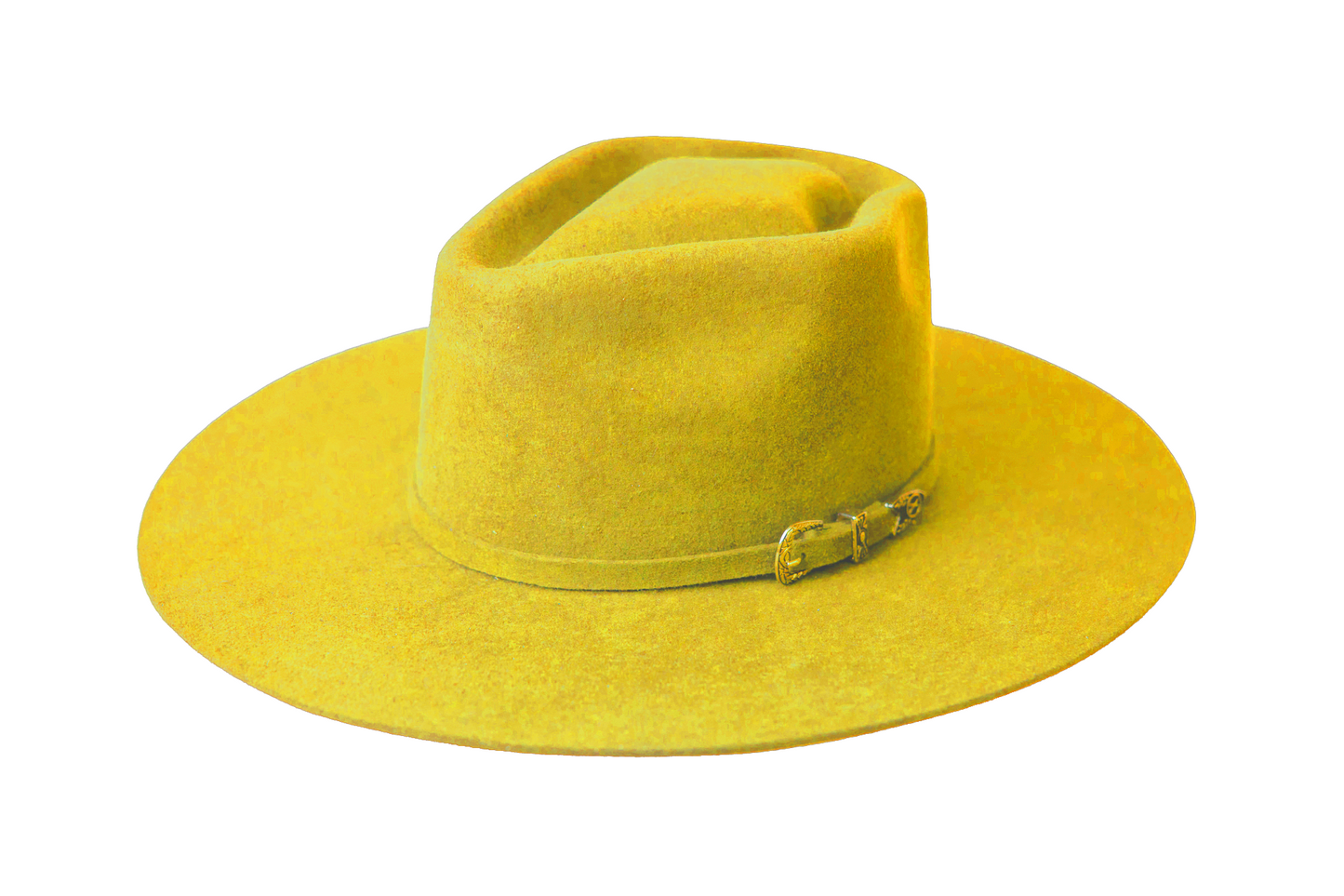 TH13: Daisy Yellow - The Arrow