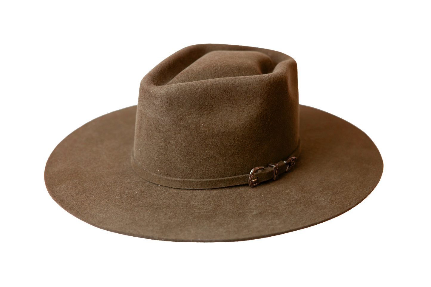 TH6: Saddle Brown - The Arrow