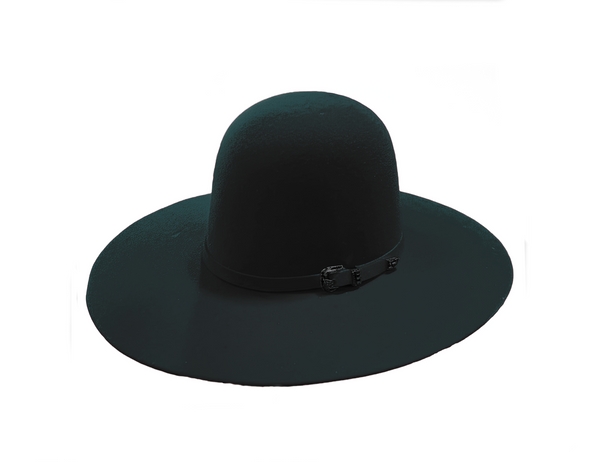 TH1: Onyx Black - Open Crown Blank Label