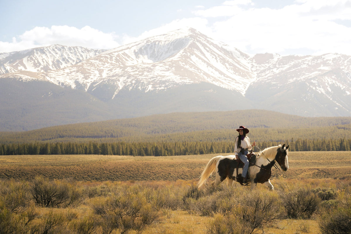 Rider on a paint horse under snowy peaks