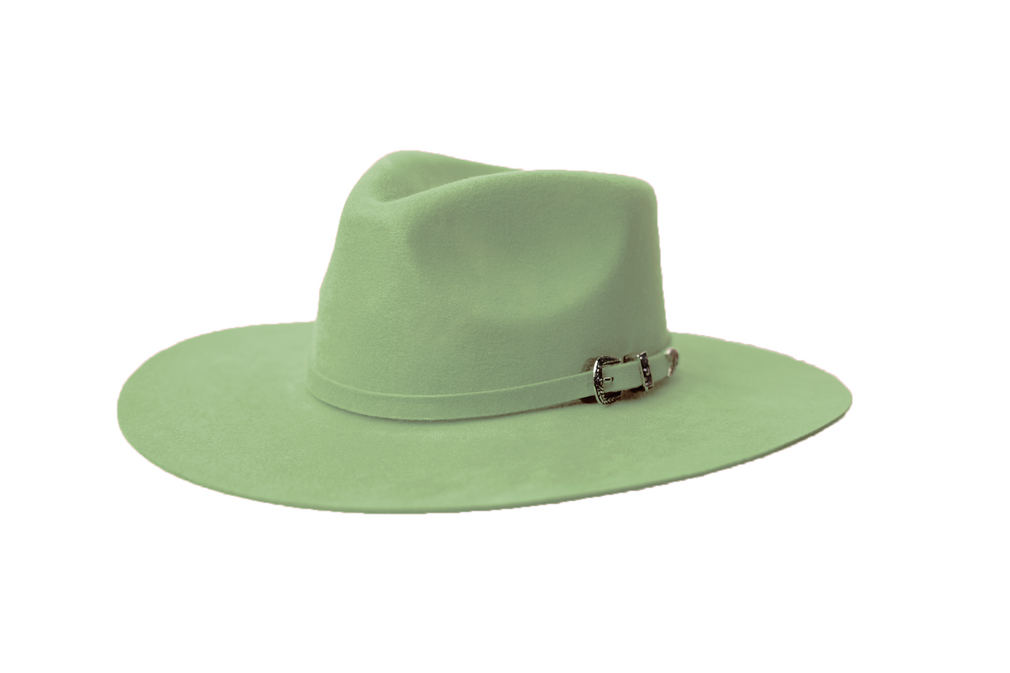 TH14: Sage Green - The Wanderlust